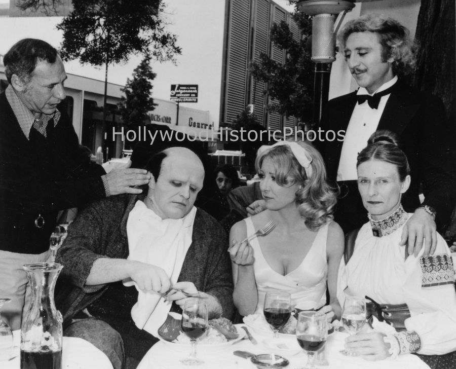 Young Frankenstein.jpg